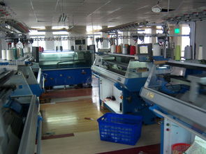 威海经济技术开发区瑞兴服装厂 创新女装技术与市场推广策略